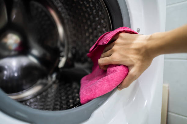 Reliable Guyton, GA Mold Removal Solutions