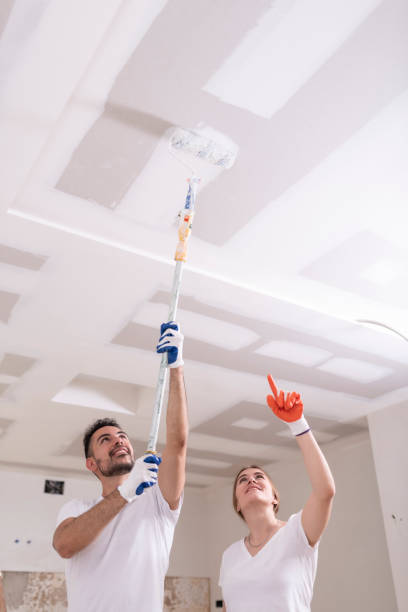 Best Emergency Mold Remediation  in Guyton, GA