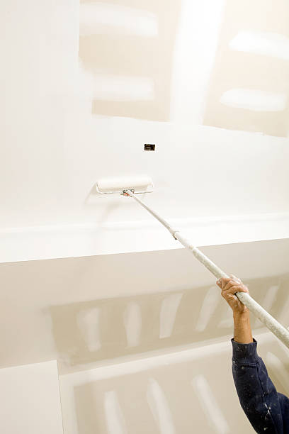 Best Mold Removal for HVAC Installations  in Guyton, GA